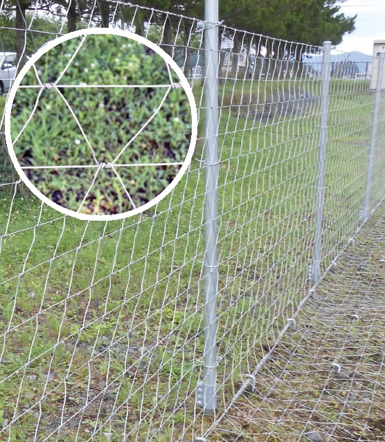 獣害防止柵 グラスダイヤモンドメッシュ